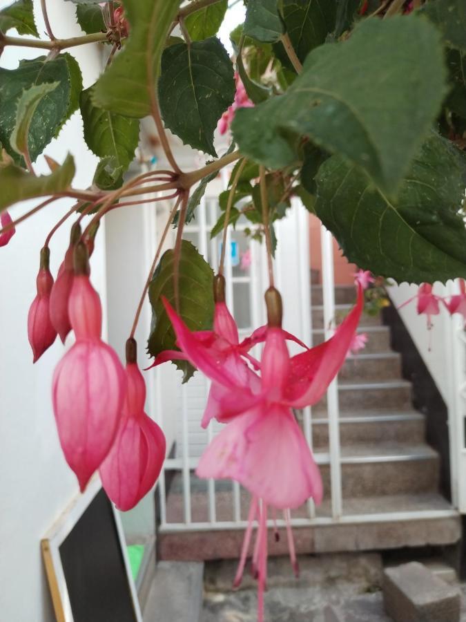 Cusco Vista Guest House Екстер'єр фото